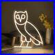 Custom_Neon_Signs_OWL_Vintage_Neon_Light_LED_Neon_Sign_For_Room_Home_Wall_Decor_01_pt