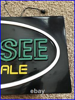 RARE Vintage 1984 Genesee Cream Ale Lighted Neo Neon Beer Sign 24x12 Works Great